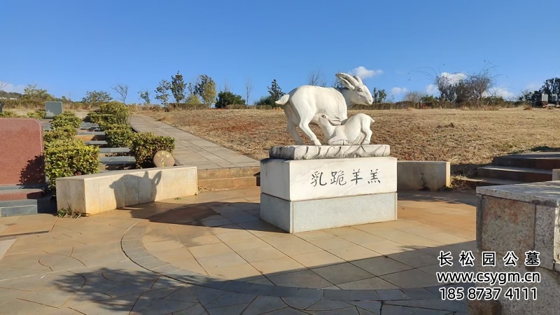 微信图片_20260104095333_557_53.jpg