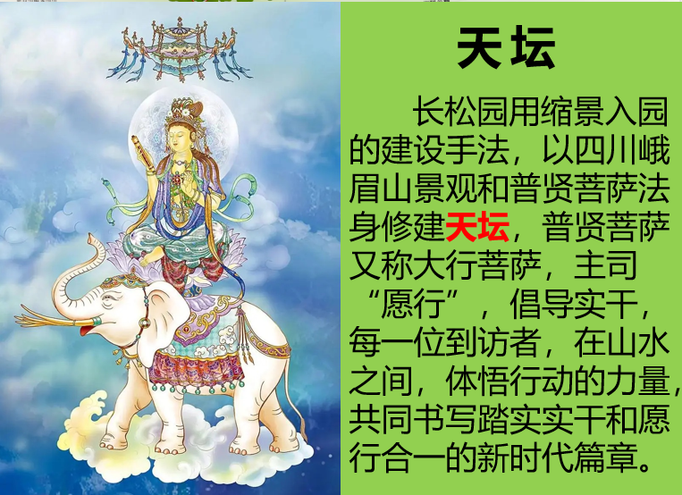 图片310.png