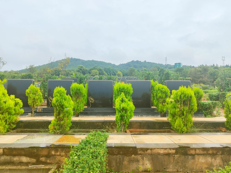 23区2分区向北.webp