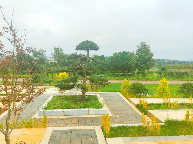 景观3.webp