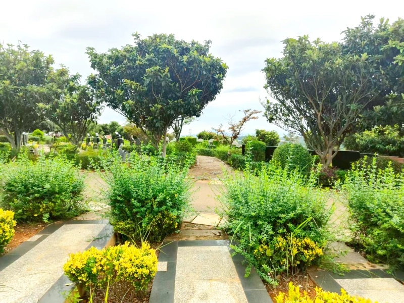 向东.webp
