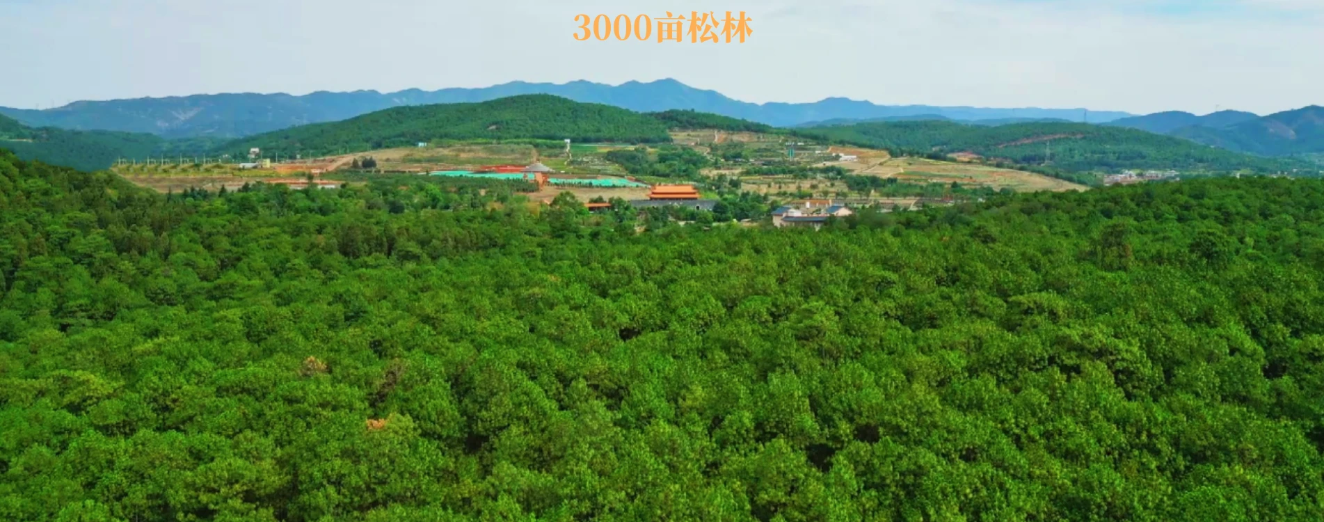 轮播图1