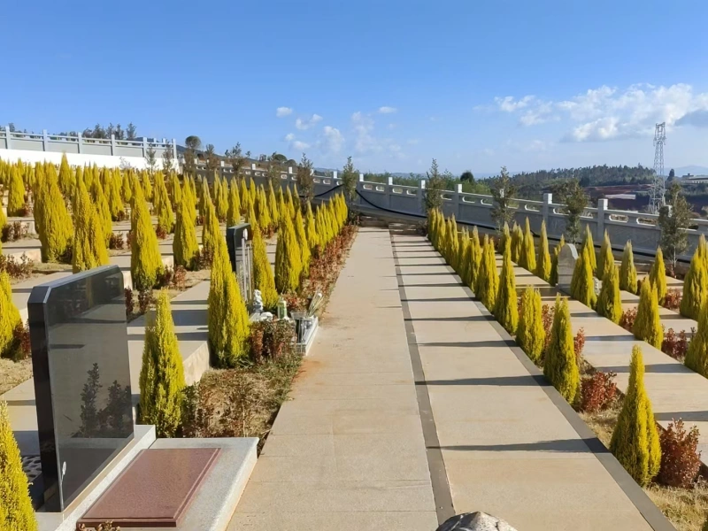 <strong>东月光16区5/6分区</strong>