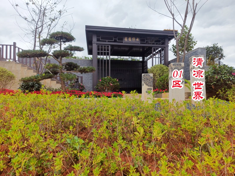 <strong>清凉世界01区1分区</strong>